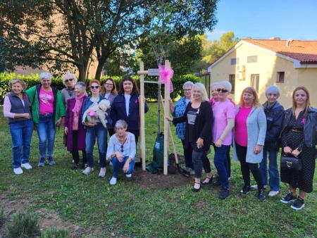 Zasaditev rožnatega drevesa.